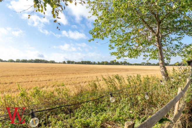 Field Views
