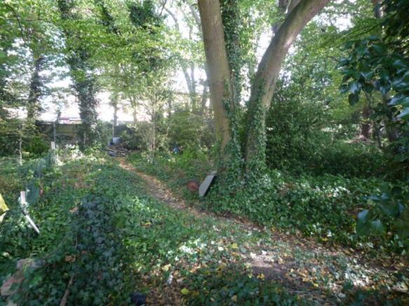 Woodland Area