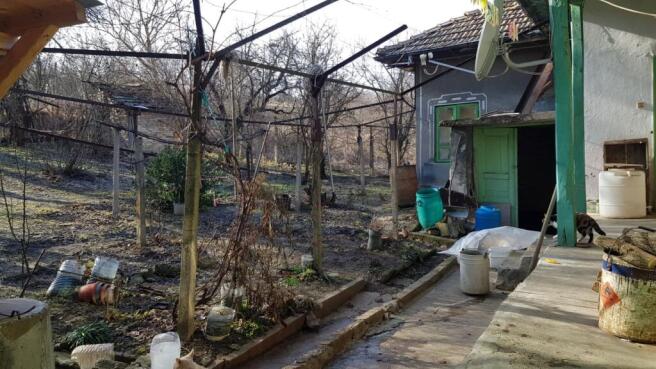 Yard space featuring garden beds, leafless trees, and a small building with green painted door and window frames