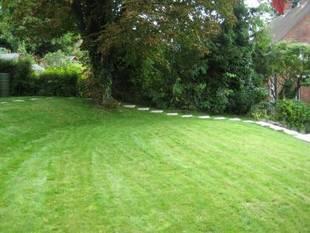 Garden 1