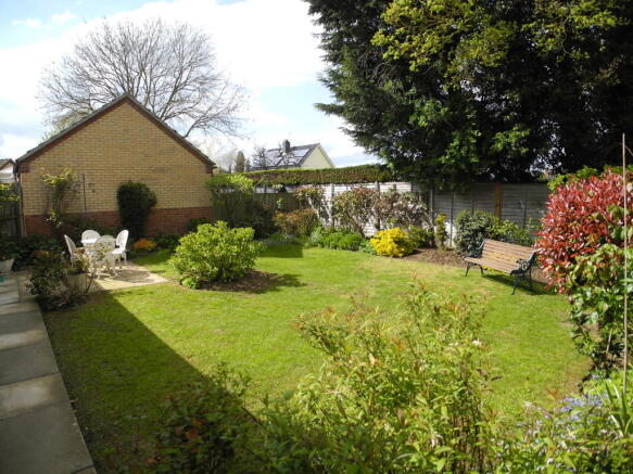 Photo 5