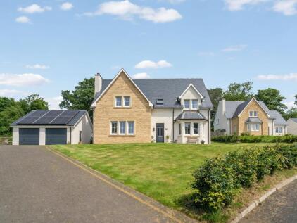 The Paddock, Cove, G84