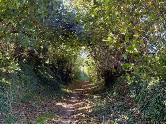 ADJACENT BRIDLEWAY TO LOWER REEN