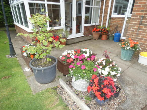 Photo 27