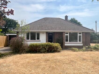 Newlands Copse, Blackfield, Southampton, Hampshire, SO45