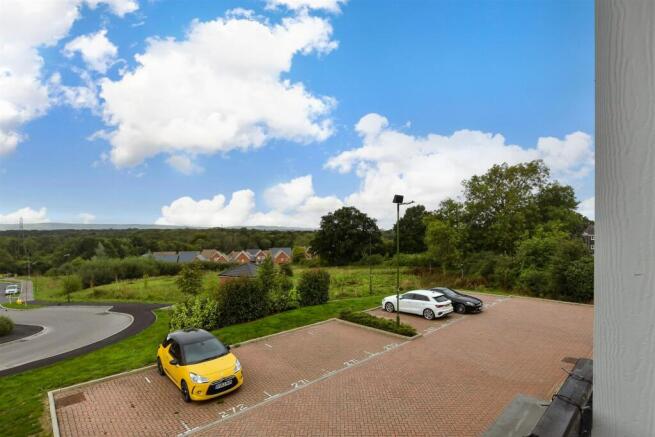 Driveway/Parking