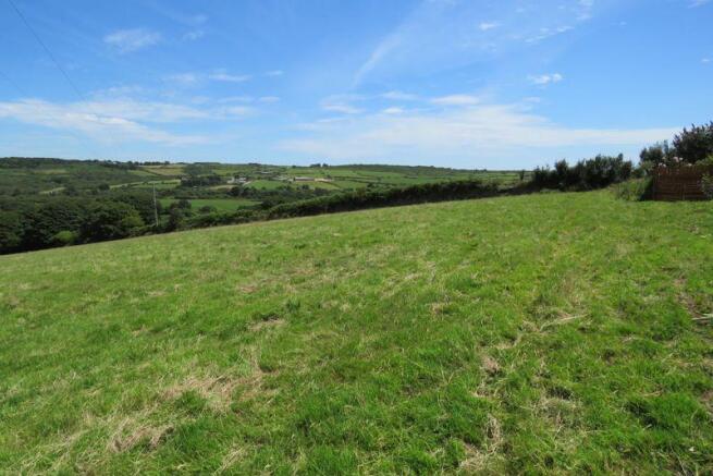 Field