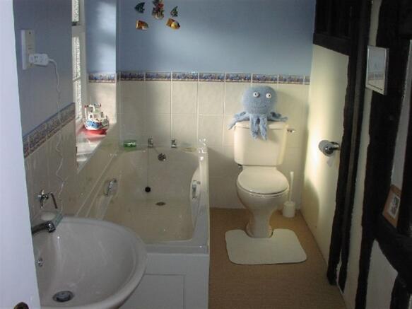 Photo 11