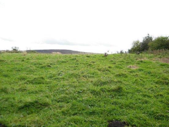 Land 2