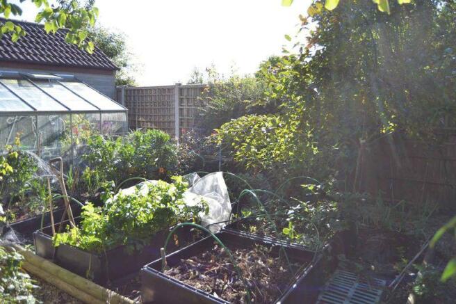 Vegetable plot