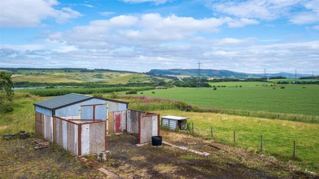 Shed