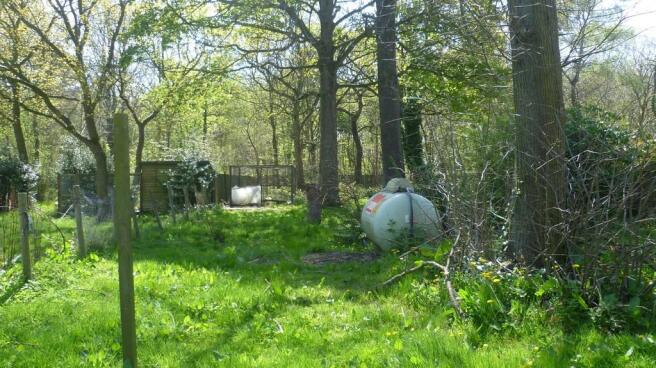 Photo 11