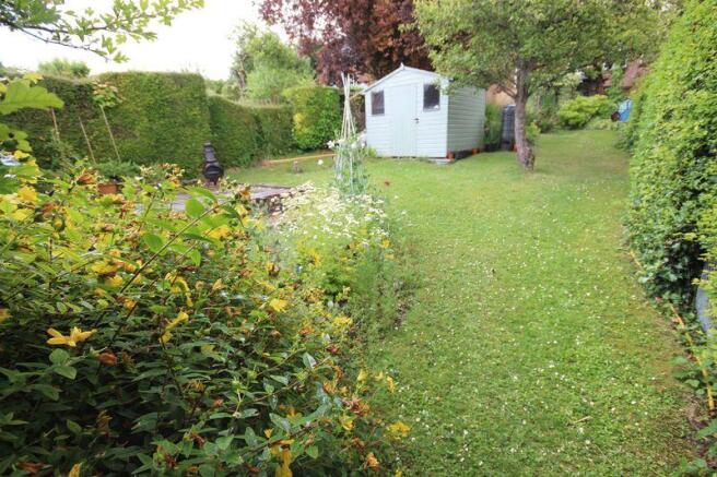 Photo 15