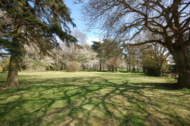 GROUNDS