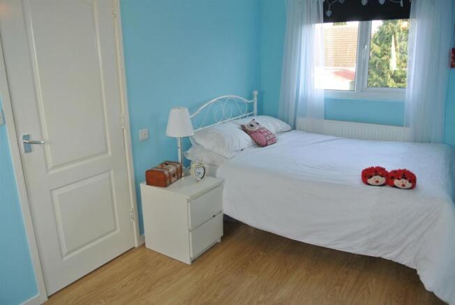 Photo 5