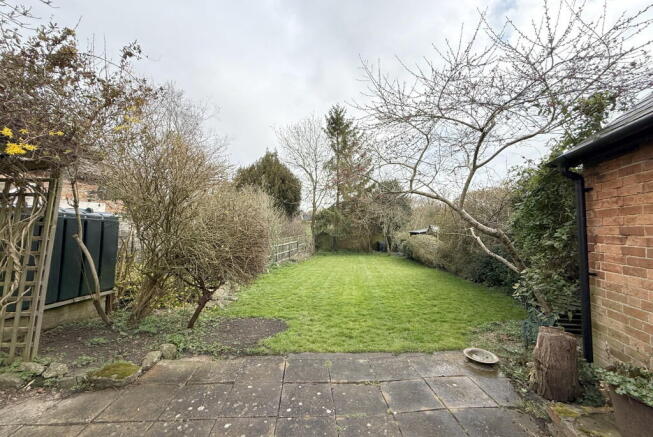 Back Garden