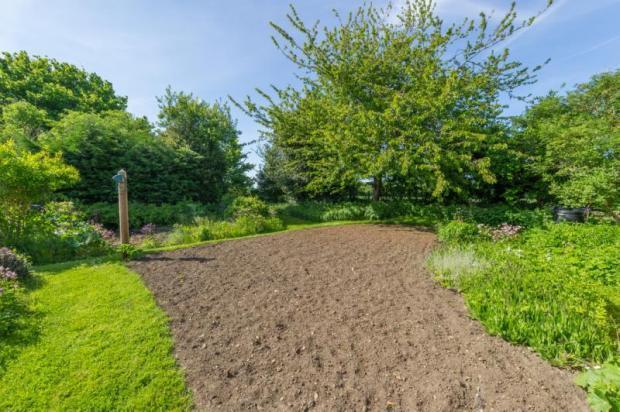 Vegetable Plot