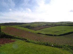 Open views