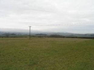 Field