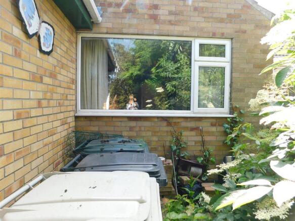Garden 3