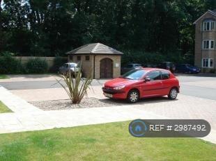2 bed Flat to rent Image 4
