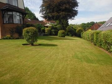 Garden area