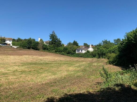 The land