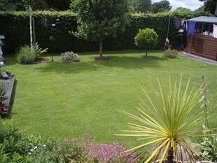 Garden Photo 4