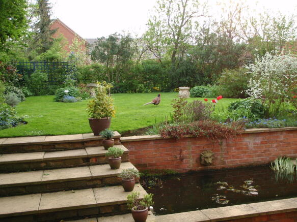 Photo 13