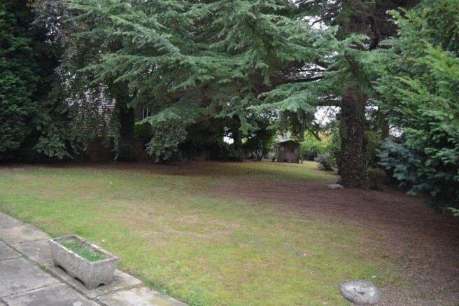 NEW GARDEN (08.09.