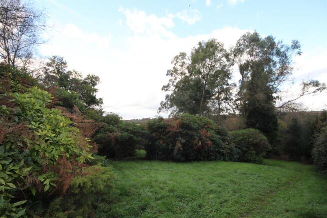 p 008.JPG