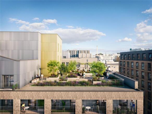 Roof Terrace