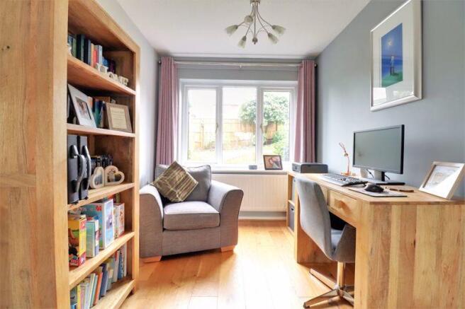 Study Area
