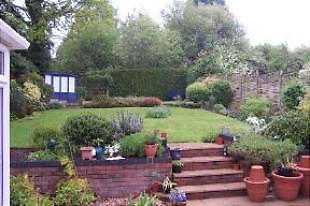 Back Garden