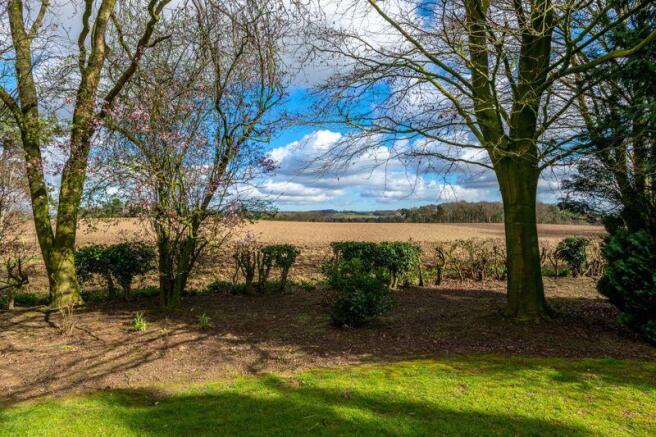 Views from garden