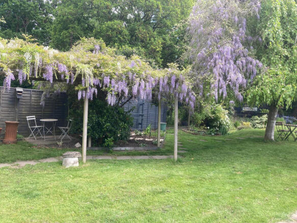garden 5