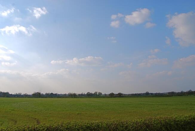 fields