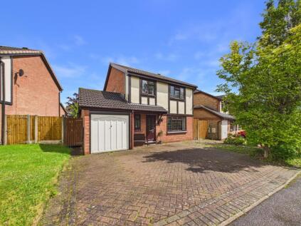 Cornflower Drive, Oakwood