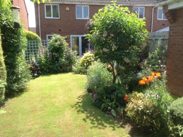 Summer Garden