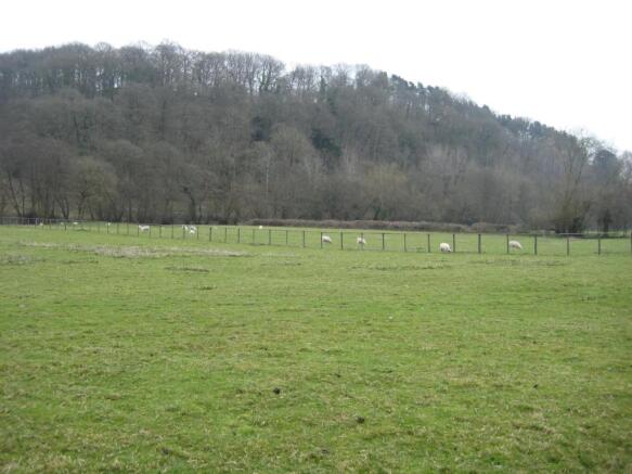 View from Garden