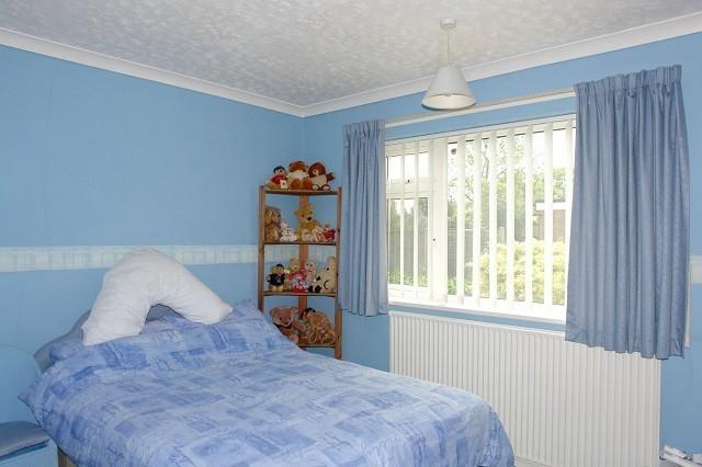 Picture 11