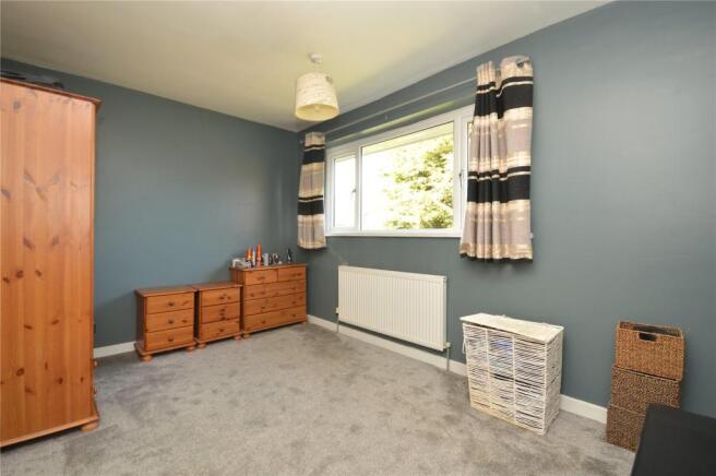 Picture 8
