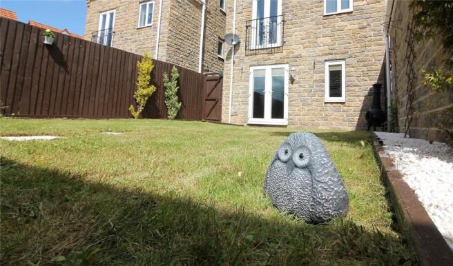Owl