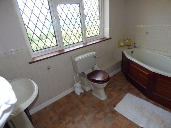 Photo 10