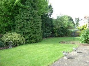 Side Grounds