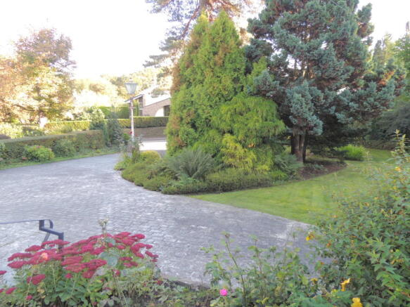 DSCN9071.JPG