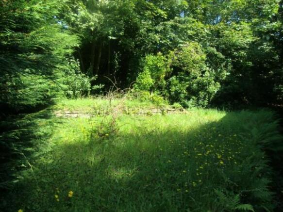 Garden (2)