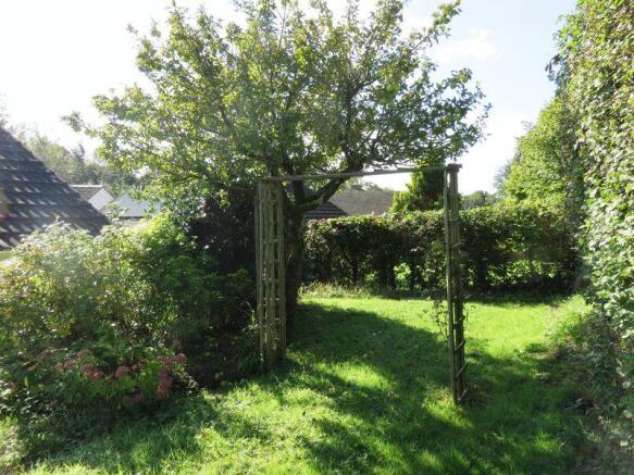 Photo 11