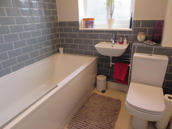 Photo 5
