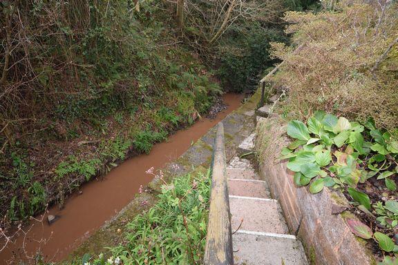 Woolbrook